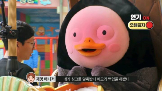 보니하니 펭수